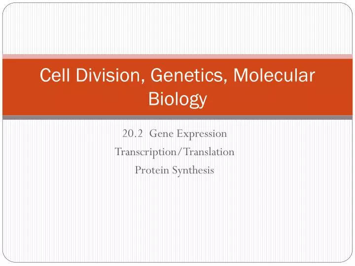cell division genetics molecular biology
