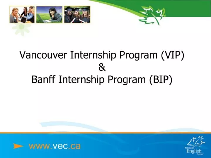 vancouver internship program vip banff internship program bip