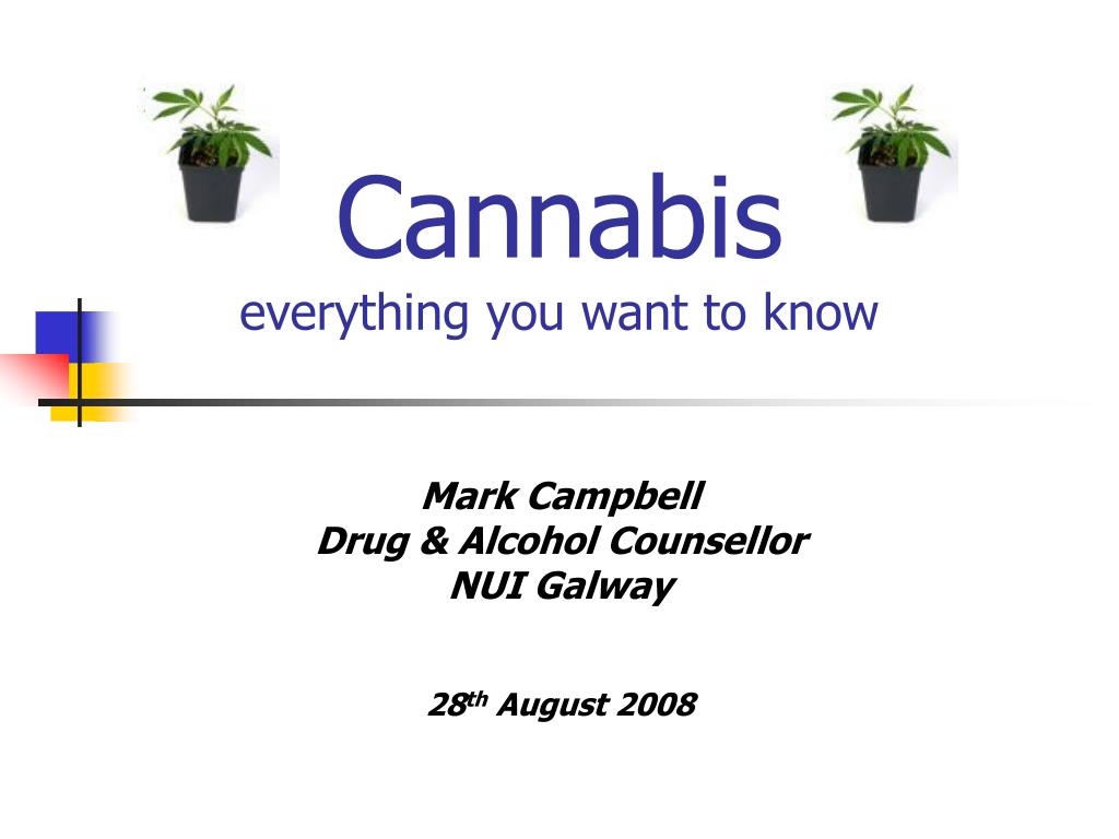 Cannabis everything you want to know - slide 1