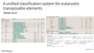 A unified classification system for eukaryotic transposable elements