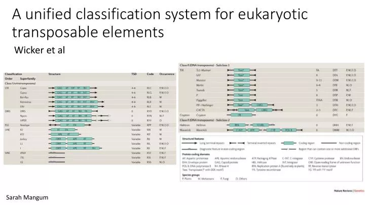 a unified classification system for eukaryotic transposable elements