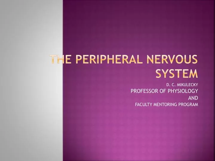 the peripheral nervous system