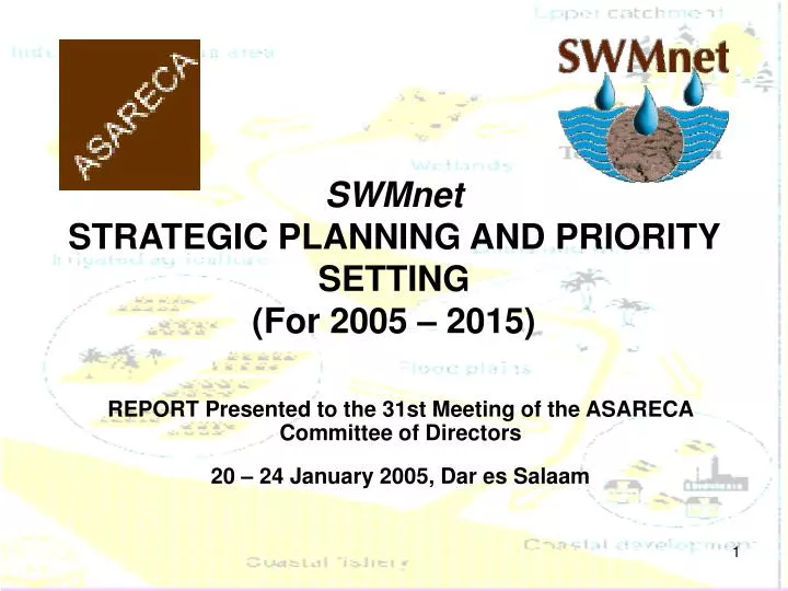 swmnet strategic planning and priority setting for 2005 2015