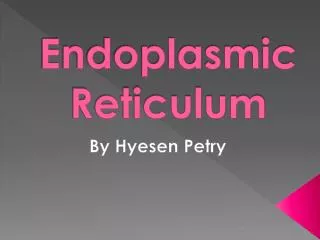 Endoplasmic Reticulum