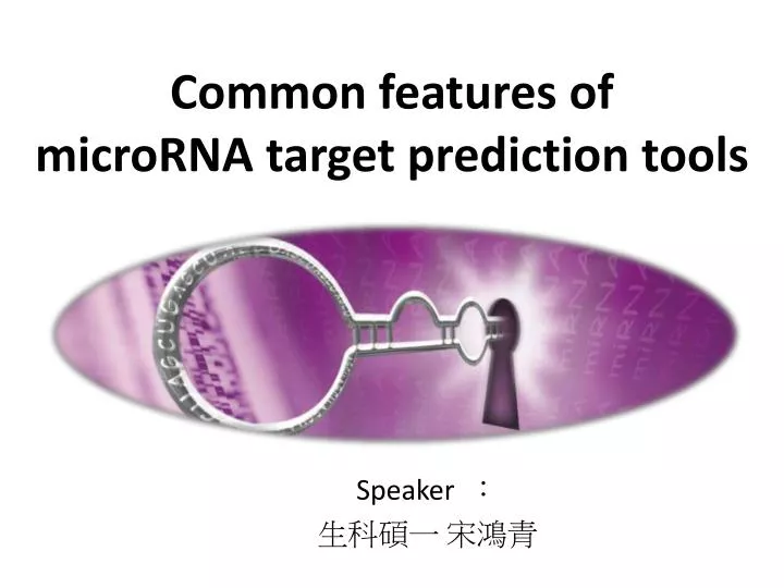 common features of microrna target prediction tools
