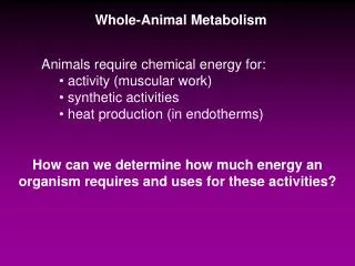 Whole-Animal Metabolism