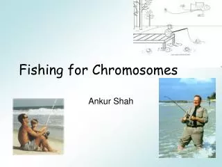 Fishing for Chromosomes