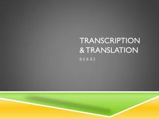 Transcription &amp; Translation