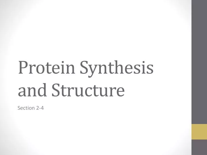 protein synthesis and structure