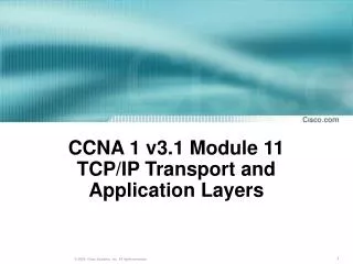 CCNA 1 v3.1 Module 11 TCP/IP Transport and Application Layers