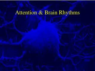 Attention &amp; Brain Rhythms