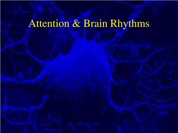 attention brain rhythms