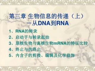 dna rna