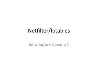 netfilter iptables