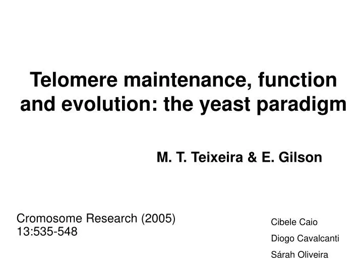 telomere maintenance function and evolution the yeast paradigm