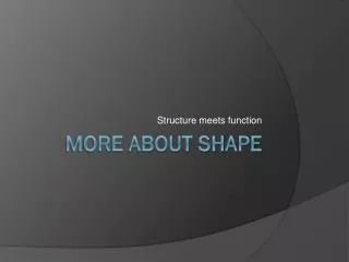 More about shape