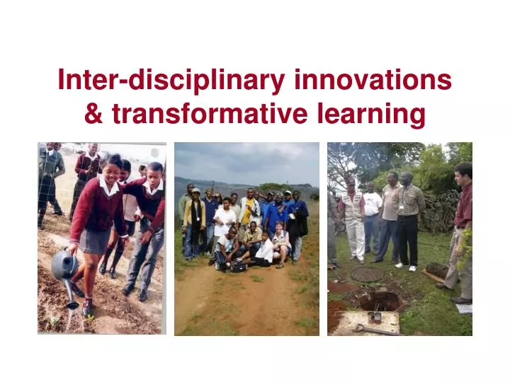 inter disciplinary innovations transformative learning