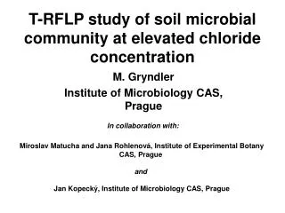 T-RFLP study of soil microbial community at elevated chloride concentration