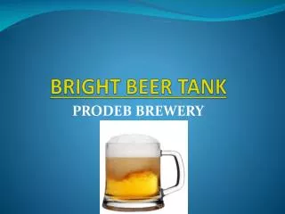 Bright Beer Tank for beer brewing