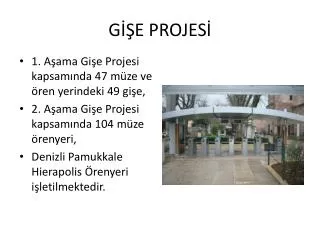 g e projes