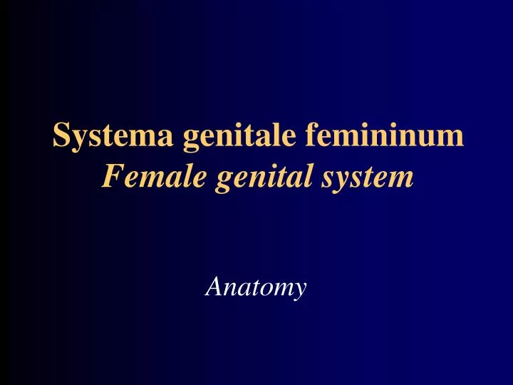 systema genitale femininum female genital system