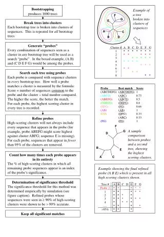 Determination of significance threshold