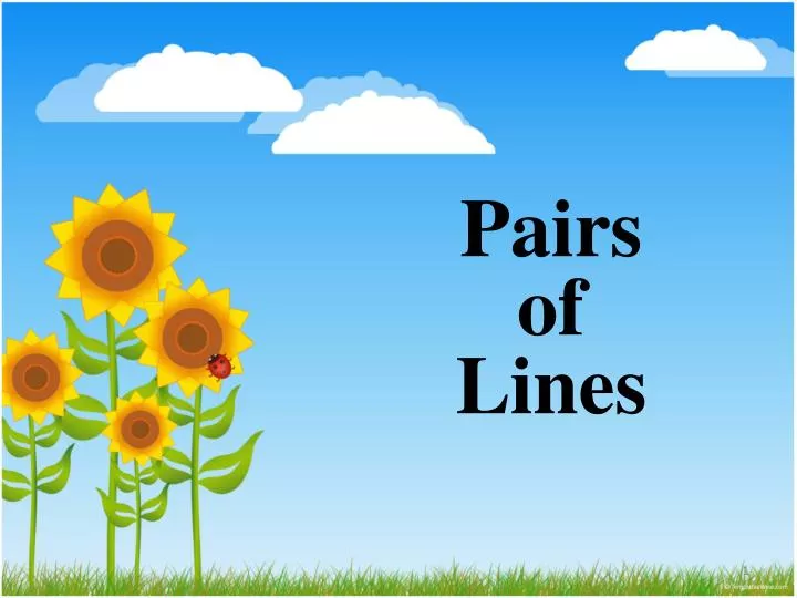 pairs of lines