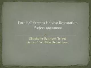 Fort Hall Stream Habitat Restoration Project 199201000