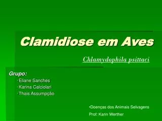 clamidiose em aves