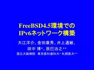 freebsd4 5 ipv6