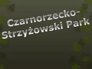 czarnorzecko strzy owski park