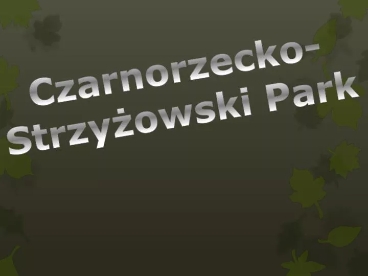 czarnorzecko strzy owski park