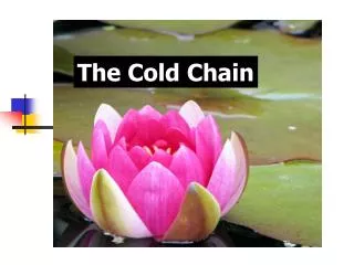 The Cold Chain