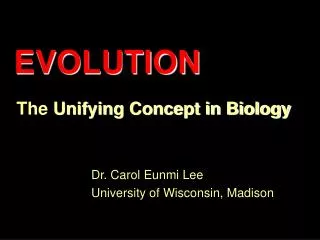 The Unifying Concept in Biology