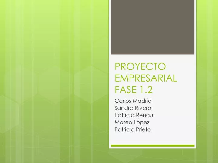 proyecto empresarial fase 1 2