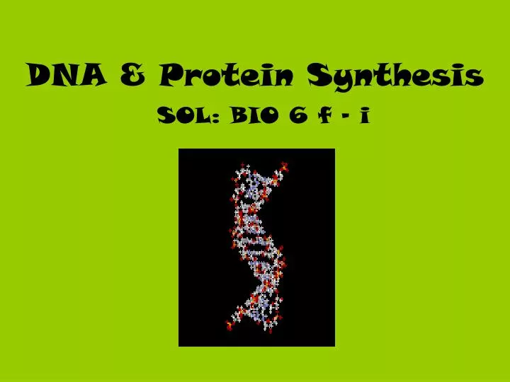 dna protein synthesis