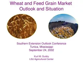 Wheat and Feed Grain Market Outlook and Situation