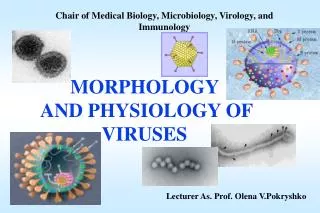 C hair of Medical Biology, M icrobiology, V irology, and I mmunology