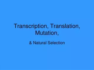 Transcription, Translation, Mutation,