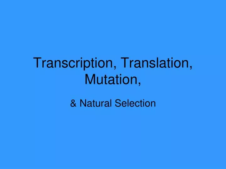 transcription translation mutation