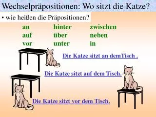 wechselpr positionen wo sitzt die katze
