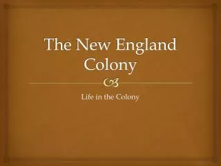 The New England Colony