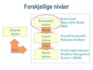 forskjellige niv er