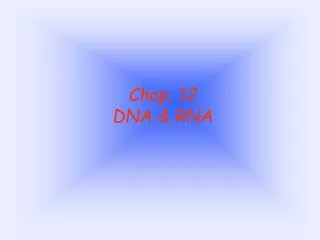 Chap. 12 DNA &amp; RNA