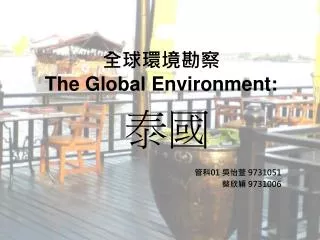 the global environment