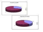 AREE CRITICHE NELLA GESTIONE DEL TIROCINIO - slide 1