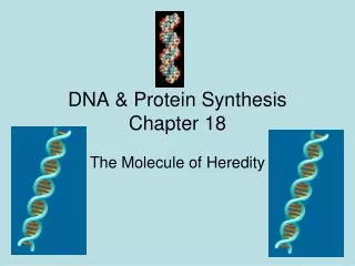 DNA &amp; Protein Synthesis Chapter 18