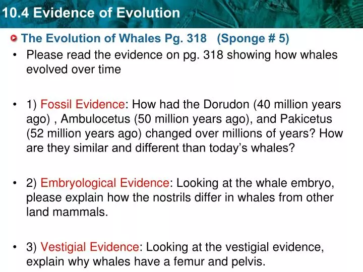 the evolution of whales pg 318 sponge 5