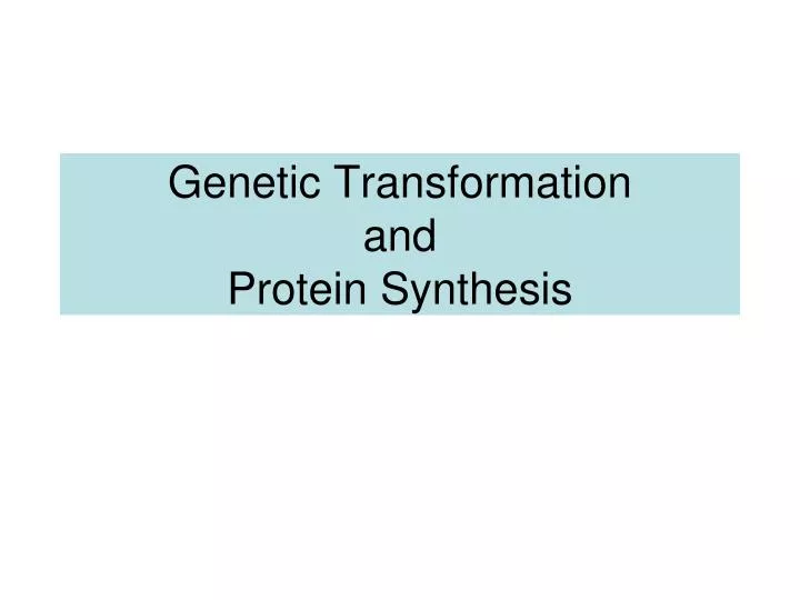 genetic transformation and protein synthesis
