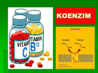 koenzim